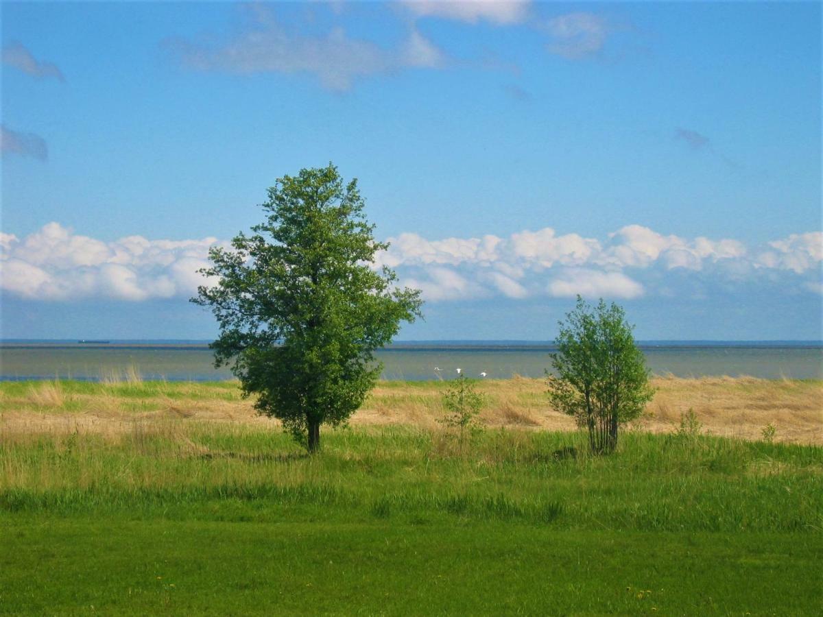 Saulepa Cottage Екстериор снимка